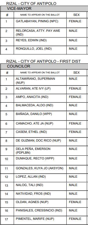 antipolo city mayor|2022 Antipolo local elections .